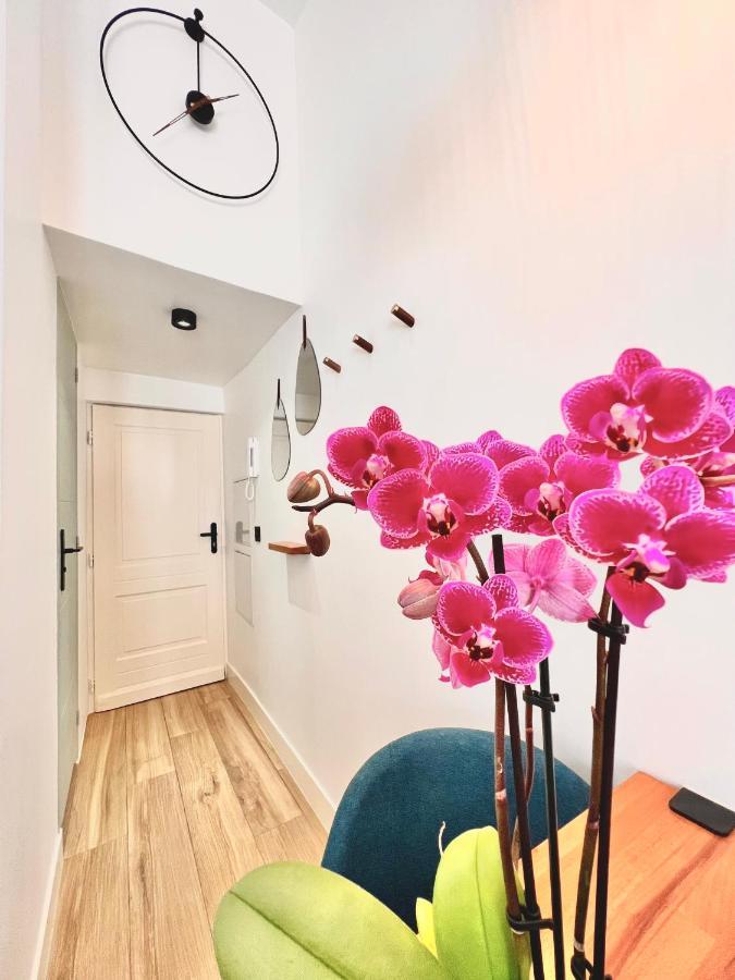 Duplex Le Gesu - Heart Of Old Town - Modern - Wifi - Clim Apartamento Nice Exterior foto